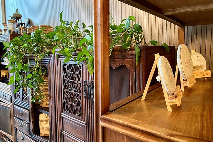 ����һ��